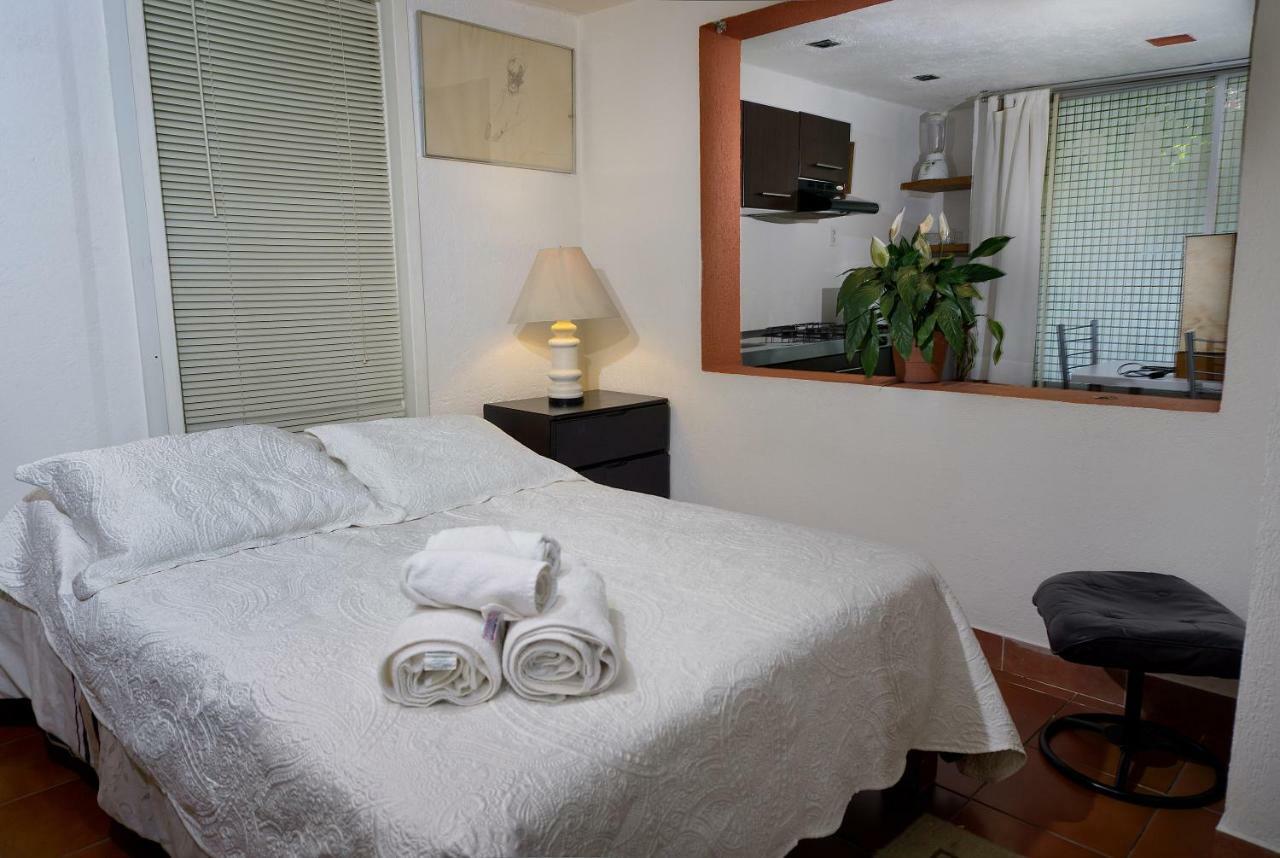 Suite 4A, Terraza, Garden House, Welcome To San Angel Ciudad de México Exteriér fotografie