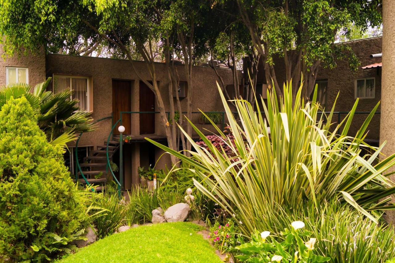 Suite 4A, Terraza, Garden House, Welcome To San Angel Ciudad de México Exteriér fotografie